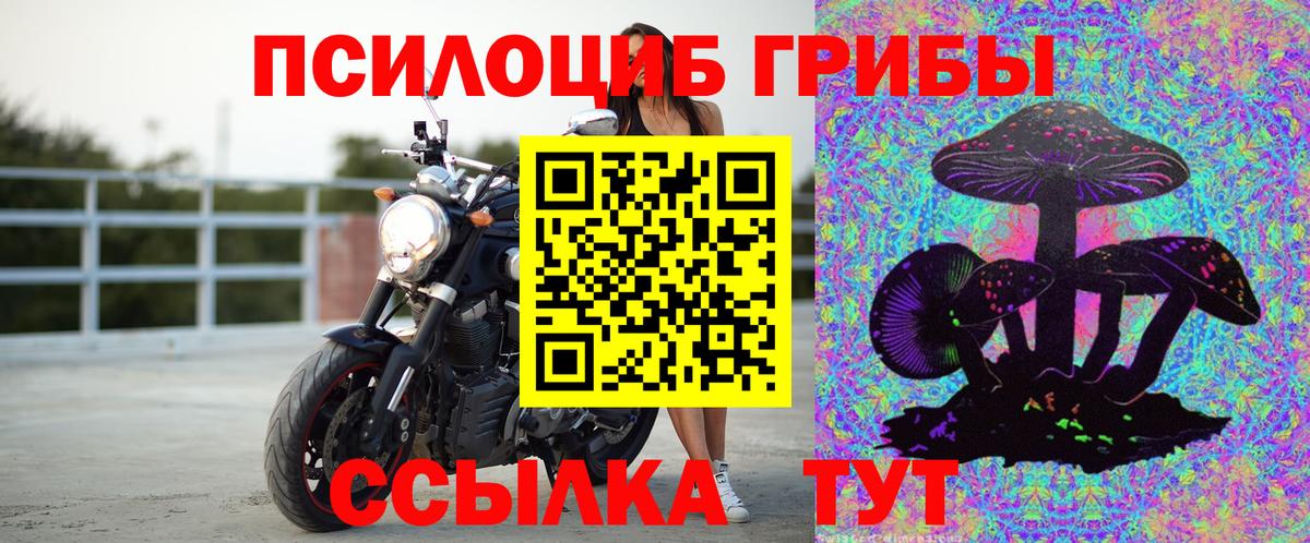 Галлюциногенные грибы мицелий Новозыбков