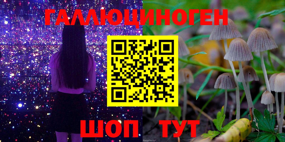 Галлюциногенные грибы Cubensis  как найти закладки  Новозыбков  Вход с VPN 