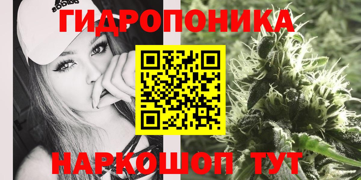 Марихуана Amnesia Новозыбков