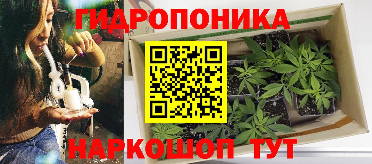 Канабис индика  Канабис планчик  Конопля Bruce Banner  Новозыбков  Конопля LSD WEED  Вход с VPN 